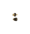 EMBASE MÂLE